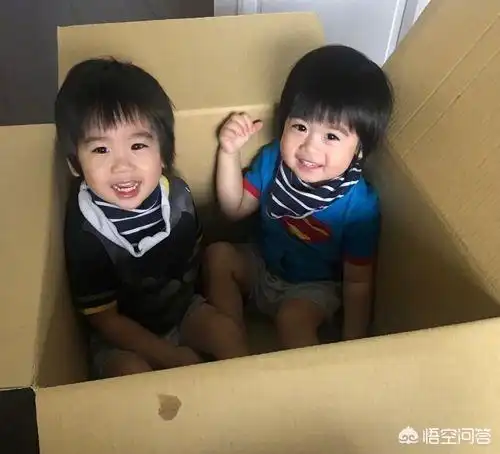 祝贺谢娜生下双胞胎女儿还有哪些明星产下双胞胎