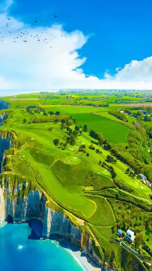 675_1200竖版 竖屏