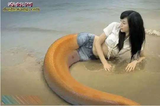 性感诱惑的美女蛇图唯一一张男蛇身图据说这是真实发现的美女蛇图被