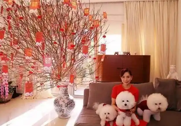 邝美云晒出自己的豪宅,息影后成为女强人,家里摆设品都是纯金的