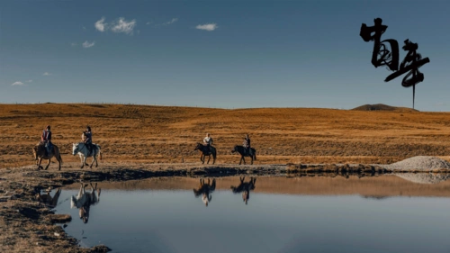 2021中国年塔公草原自然风光,高清图片,节日壁纸-回车桌面