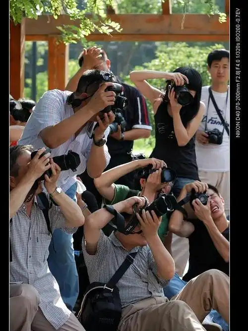 上几张环城西苑外拍的花絮,请大家各自对号入座