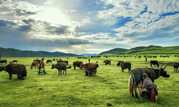 甘南推介立足生态优势推动绿色发展打造青藏高原上的生态文明高地
