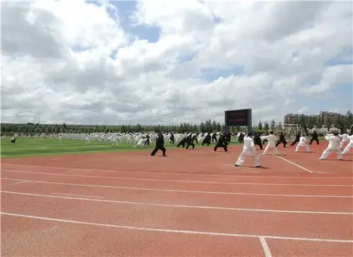 城区开展全民健身助力健康林口太极拳展演活动