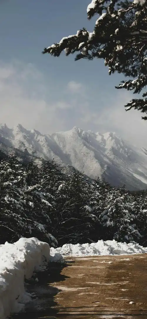 18张好看的自然风光iphone壁纸