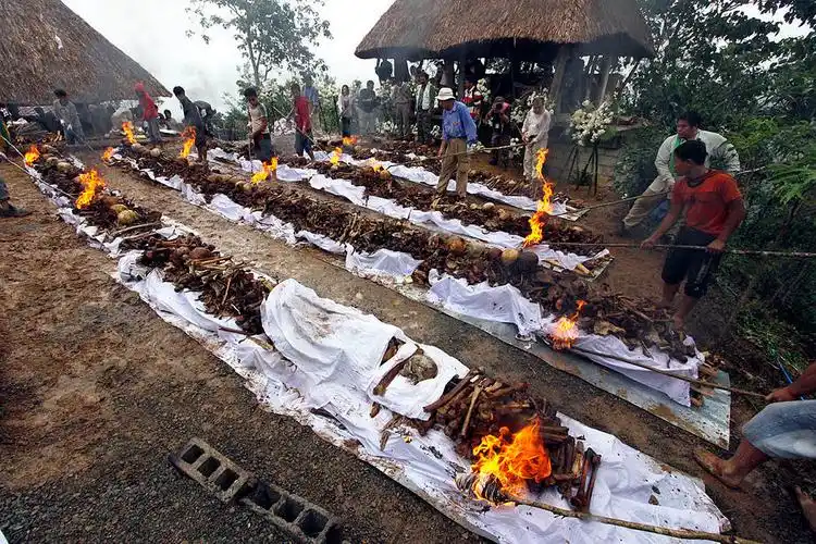 新闻频道_新浪图库