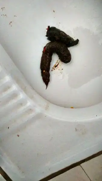 膳想什么意思 便膳那什么意思?如何解释?