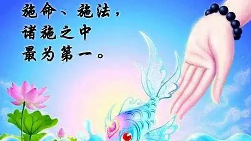 弘一大师《放生与杀生之果报》