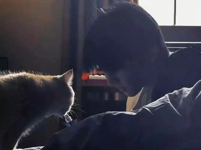 【马嘉祺女友视角做梦素材】