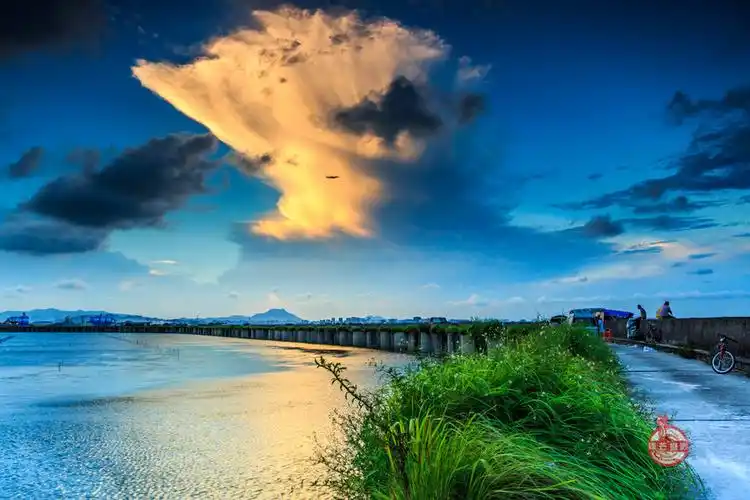 黄昏东莞虎门沙角电厂共p