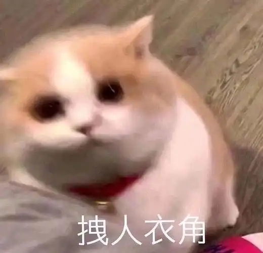 求求撒娇可爱的表情包