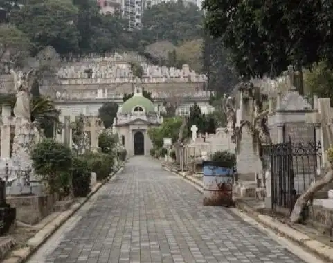 蓝洁瑛墓碑被熏黑损现场凌乱粉丝称气得发抖