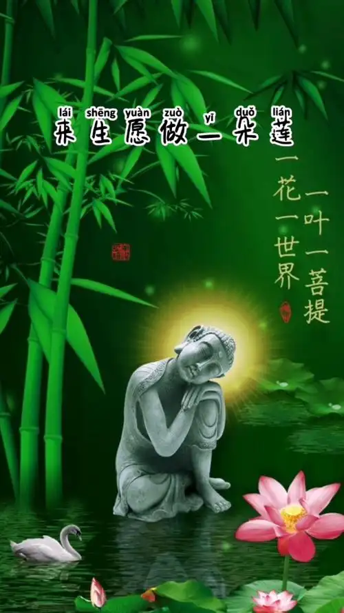 来生愿做一朵莲