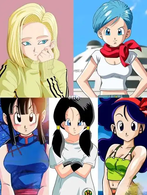 好像是龙珠全部女角色了