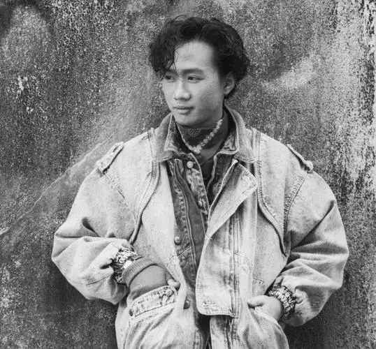 光辉岁月是写给谁的歌黄家驹的光辉岁月是致敬谁