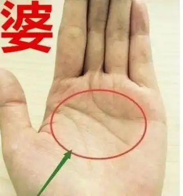 富婆命的手相特征,万中无一,注定一辈子财运连绵!