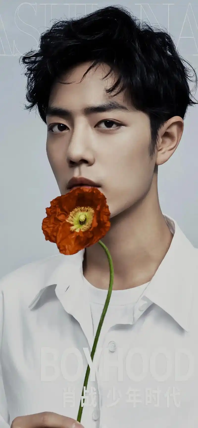 抖音图文来了 #手机壁纸 #肖战 肖战的壁纸来咯! - 抖音