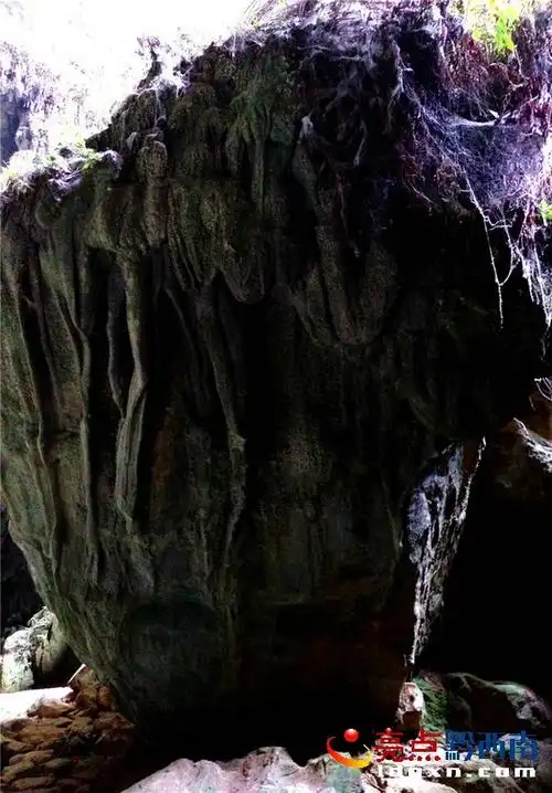 惊奇晴隆县深山惊现一张疑似女人的脸