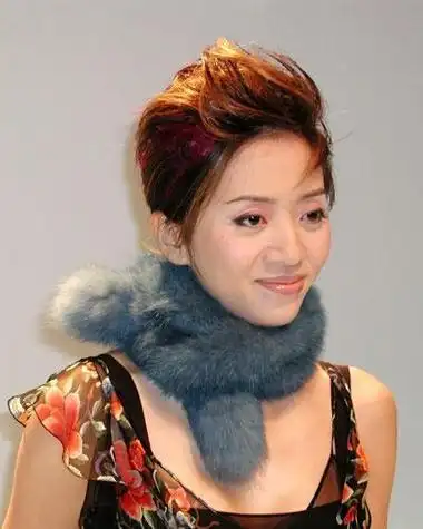 缅怀梅姐——浅谈宫颈癌