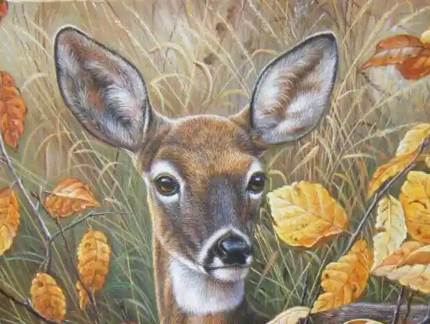 林小杉《梅花鹿》50*60cm 布面油画 - 拍卖