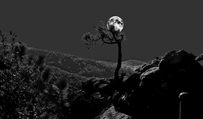 就爱黑白壁纸 - 资源共享 - 一加手机社区官方论坛