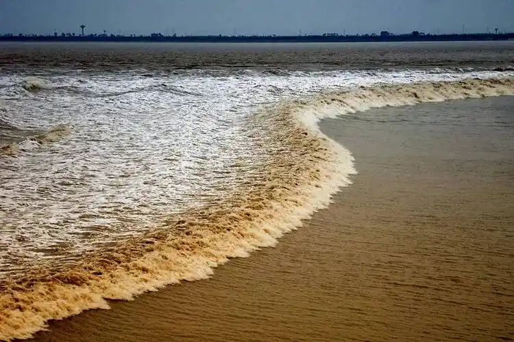 钱塘江大潮潮汐树千岛湖航千高速等摄影精品团