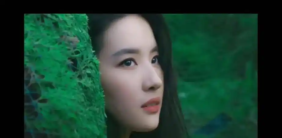 第01位,郑智薰他是刘亦菲第一位合作的韩国男明星,在2014年,他们共同