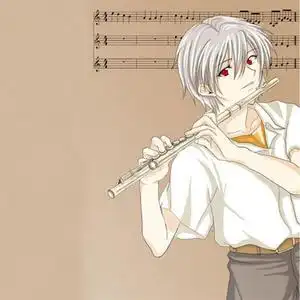 梦幻长笛小夜曲