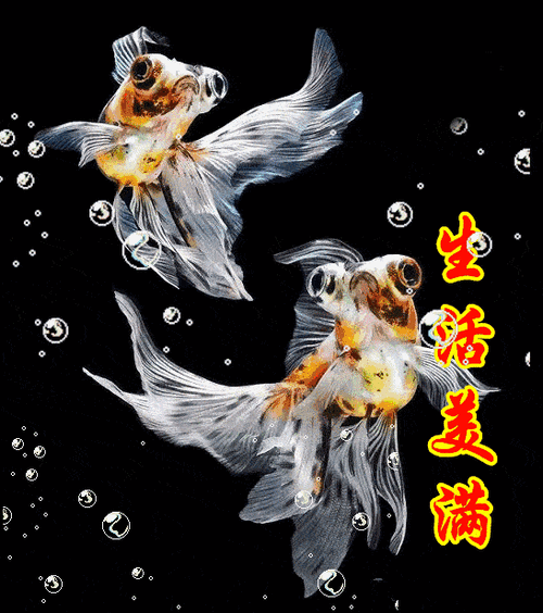 明日小满,送你100条吉祥鱼,祝你金"鱼"满堂!