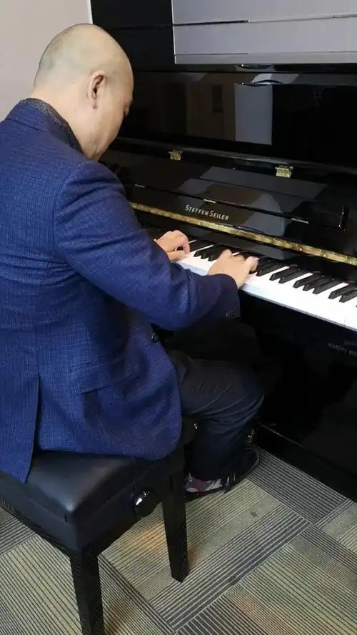 韩冰教授演奏赛乐尔钢琴学院派系列steffen  seiler