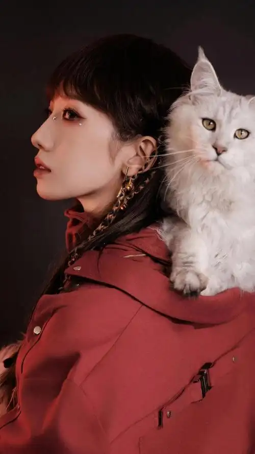 美女壁纸第2635期