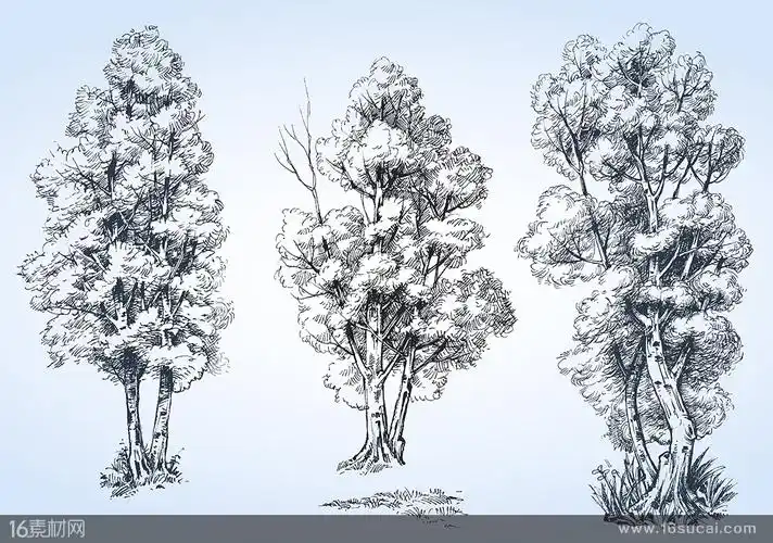 三款素描手绘大树矢量素材