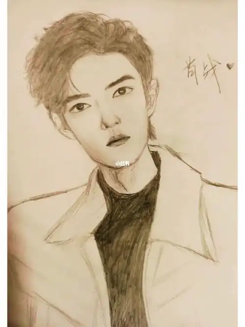 真的四张里面最像的一张了#肖战  #绘画  #素描  #明星  #小飞侠  #画