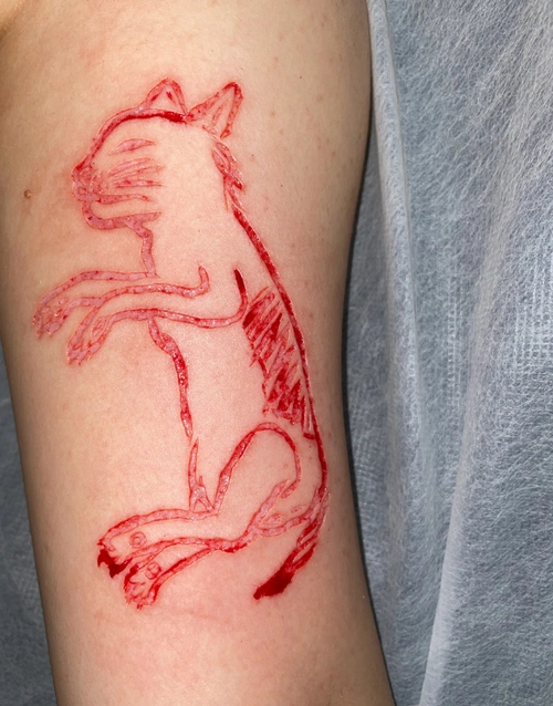 宠物肉雕纹身设计 手臂割皮纹身女(3)