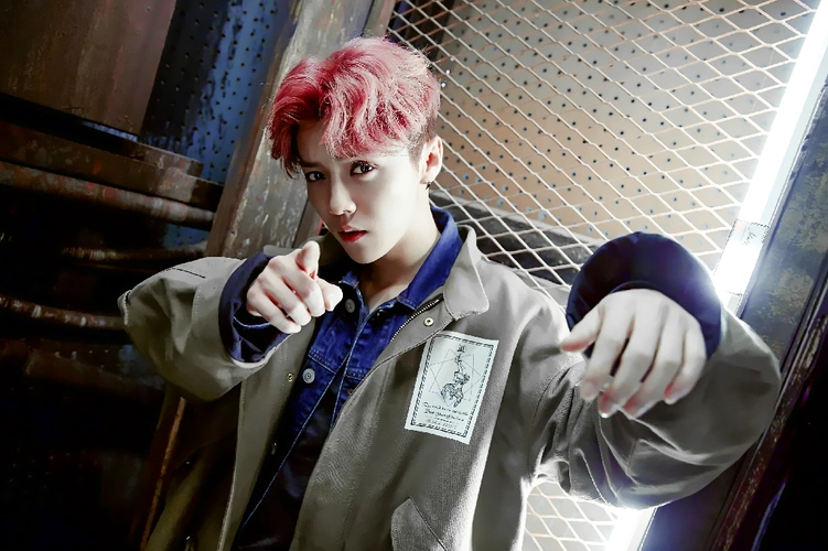 精选迷人鹿晗宽屏壁纸最爱的偶像鹿晗