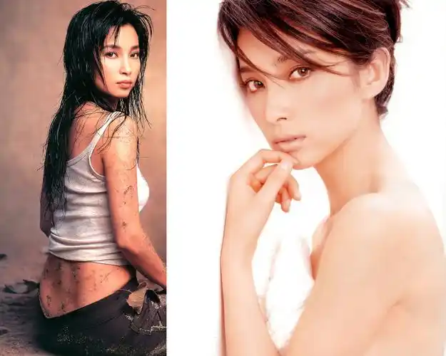 国际影星李冰冰