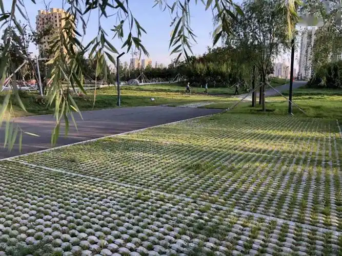 雨水花园,透水路面,雨水调蓄池,生态停车场等一系列"海绵"设施让人