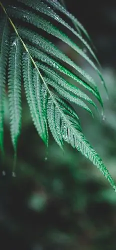 1000_2162竖版 竖屏