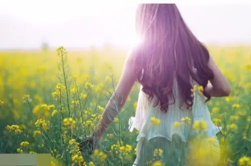 一只手轻抚花花,阳光透过头发