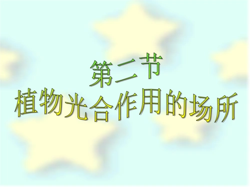 《第二节 植物光合作用的场所》课件5.ppt