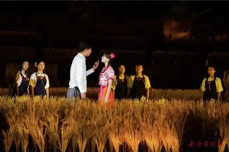 稻田大剧 田野狂欢丨原来水稻还能这么玩?