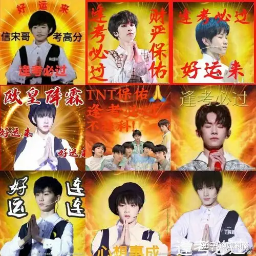 有没有tnt逢考必过的头像