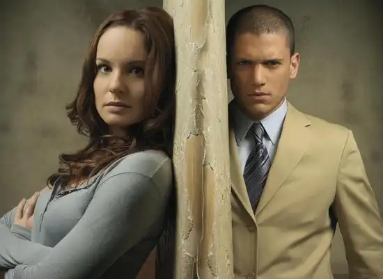 莎拉回归新越狱再婚后发现迈克活着