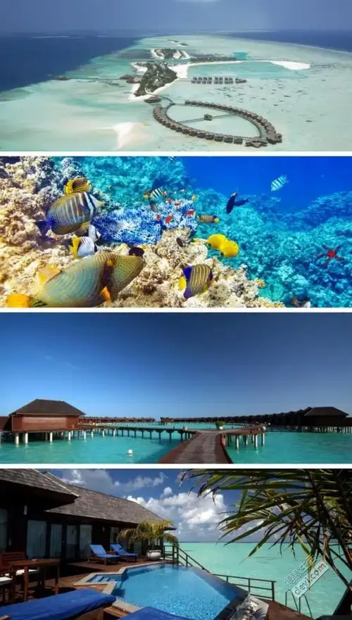 马尔代夫蜜月旅拍,武汉出发,五星级双鱼岛超级团购!