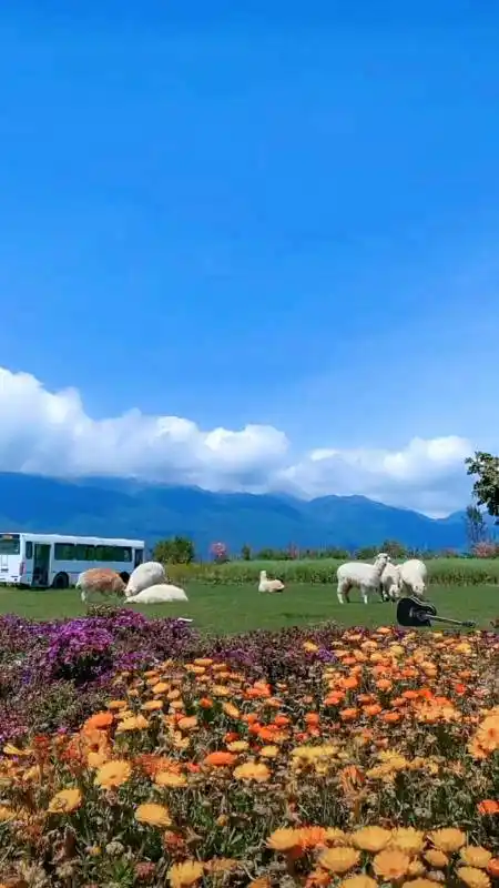 破壳计划#绿草从来不语,却温暖了世界,蓝天从来不言,却治愈了心灵.