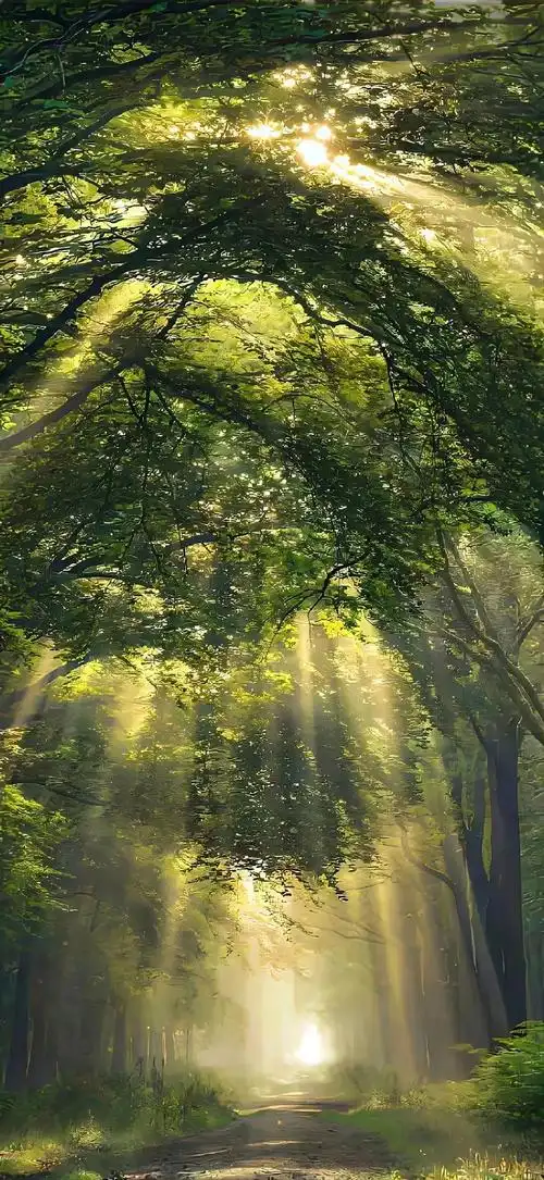 分享一组绿色护眼壁纸#治愈系##无水印壁纸##手机壁纸##分享图片