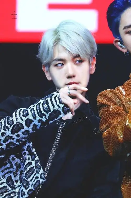 边伯贤#19111294 we are the future tour in 沃斯堡    银色小