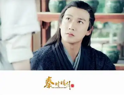 盖聂 扮演者 陆毅 从容淡定,处事冷静,师出鬼谷.