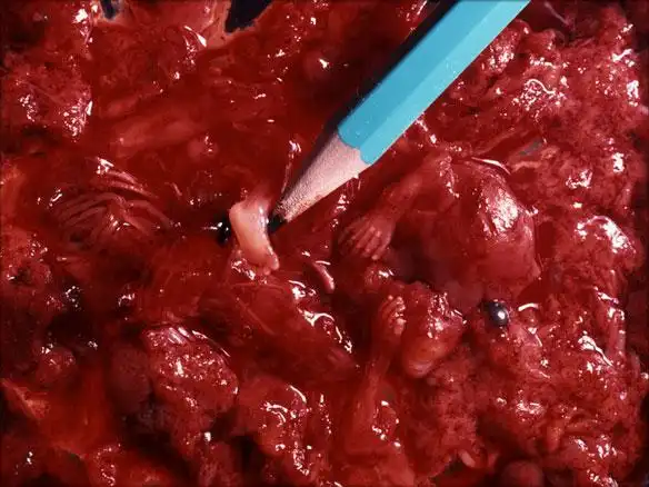 女,想交些朋友.