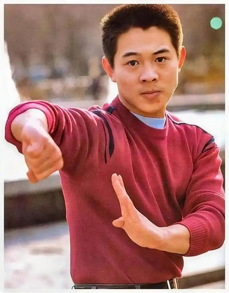 某杂志曾经评论过李连杰的武术动作特点,用十八个字来概括就是:速度快